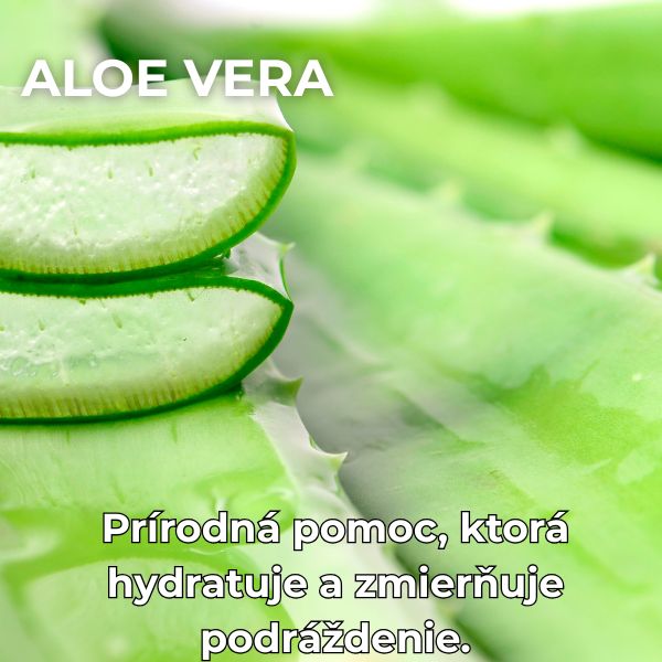 aloe vera